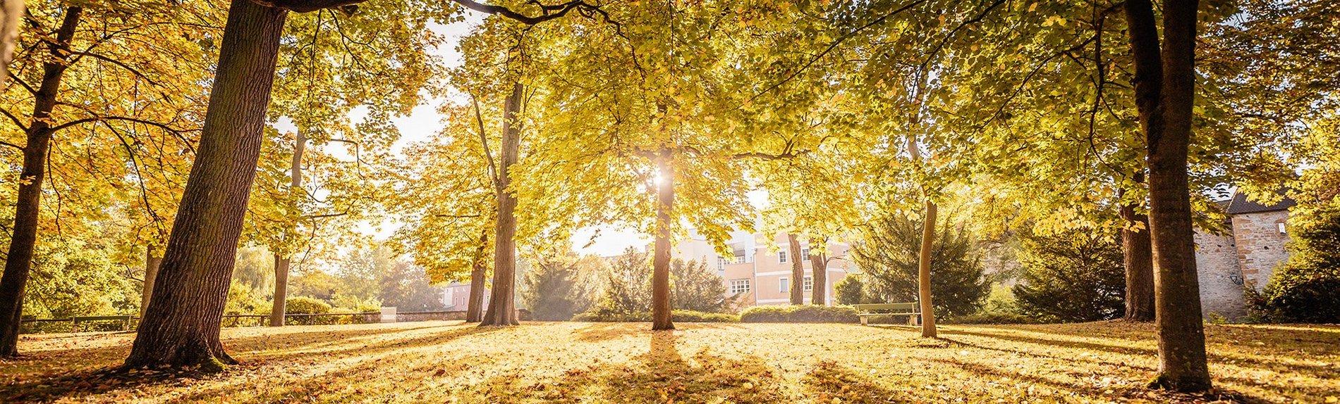 Hexennacht facebook Header.indd Herbst_-_018.jpg