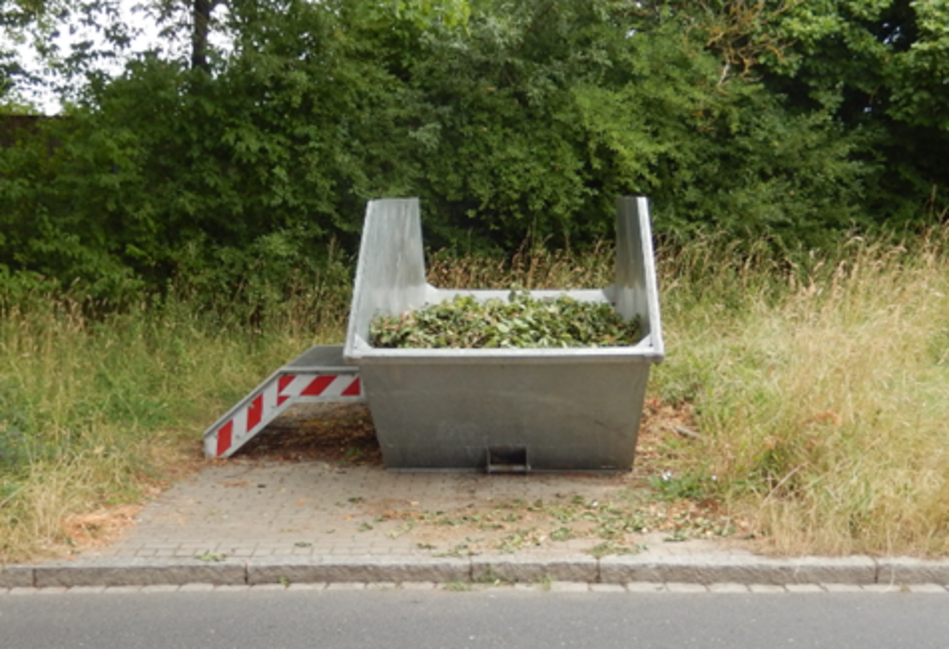 Das Bild zeigt einen Grüngutcontainer